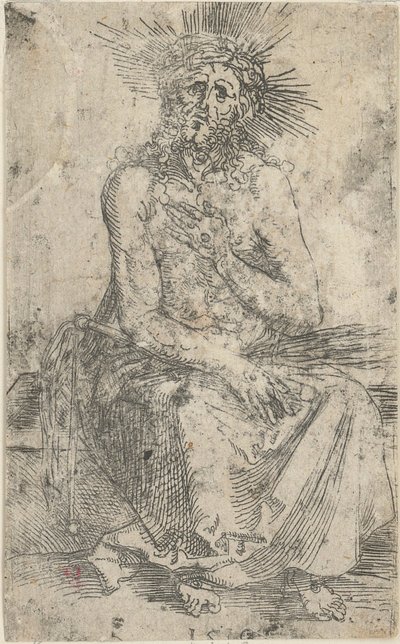  af Albrecht Dürer