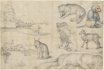 Skitser af dyr og landskaber, 1521. af Albrecht Dürer