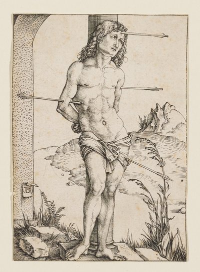  af Albrecht Dürer