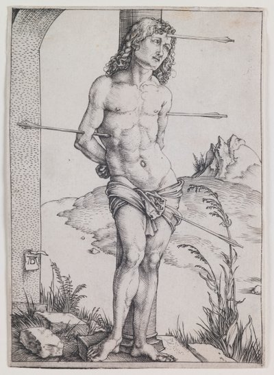  af Albrecht Dürer