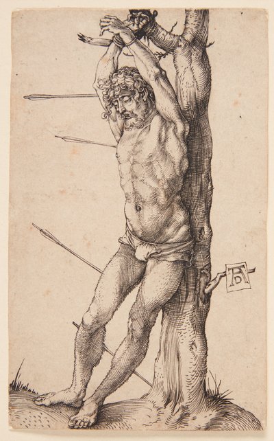  af Albrecht Dürer