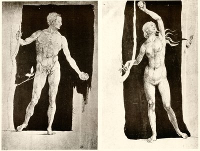 Studier om Adam og Eva af Albrecht Dürer
