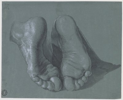 Study of Two Feet, c.1508 af Albrecht Dürer