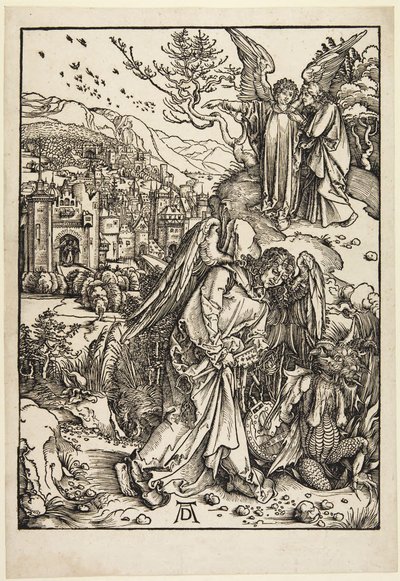  af Albrecht Dürer