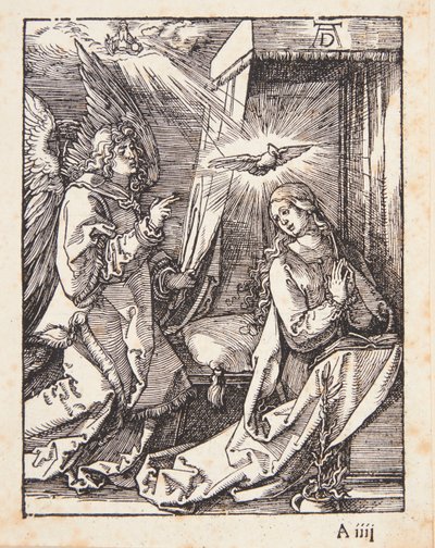  af Albrecht Dürer