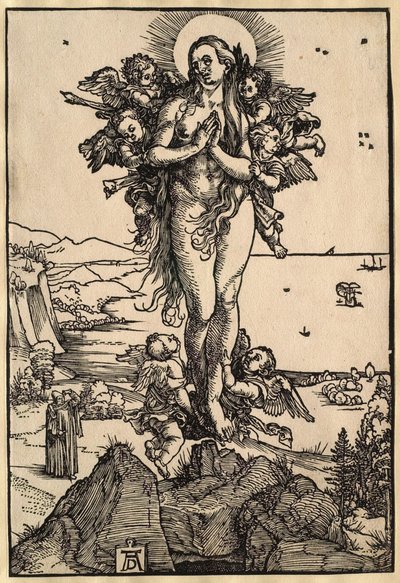  af Albrecht Dürer