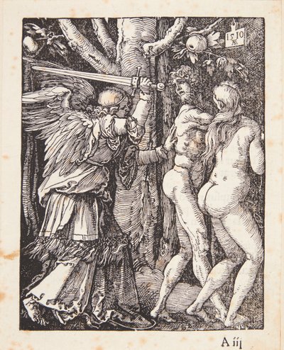  af Albrecht Dürer