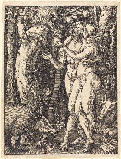  af Albrecht Dürer