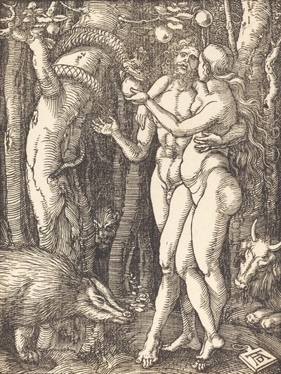Menneskets fald, sandsynligvis ca. 15091510. af Albrecht Dürer