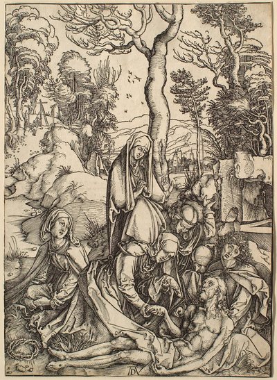  af Albrecht Dürer