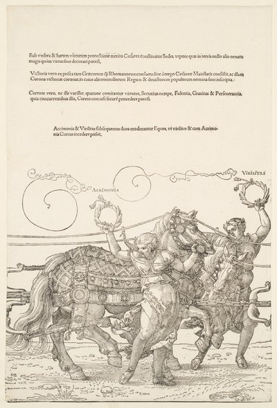  af Albrecht Dürer