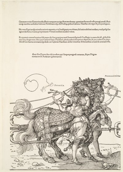  af Albrecht Dürer