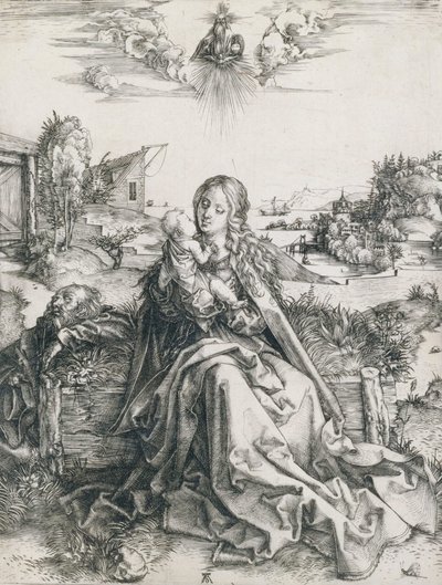  af Albrecht Dürer