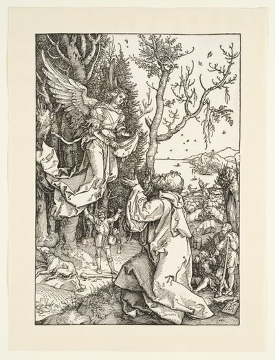 af Albrecht Dürer
