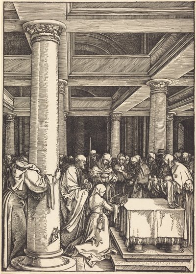  af Albrecht Dürer
