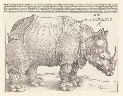 Næsehornet af Albrecht Dürer