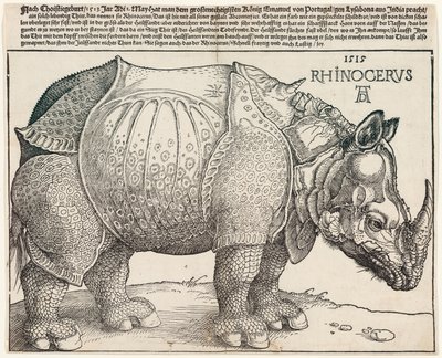 Næsehornet af Albrecht Dürer
