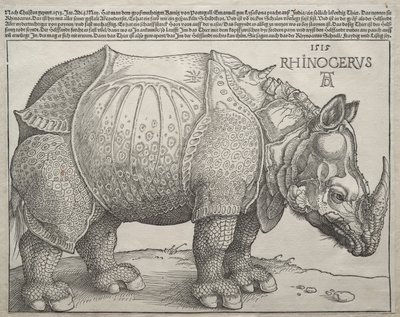 Næsehornet af Albrecht Dürer