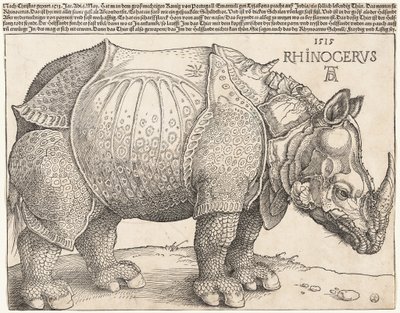 Næsehornet af Albrecht Dürer
