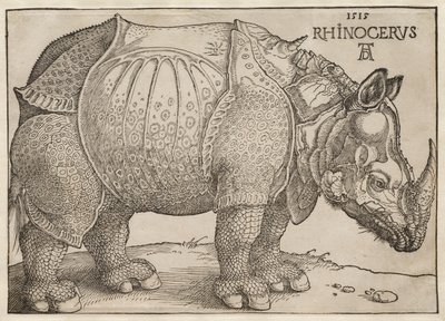 Næsehornet af Albrecht Dürer