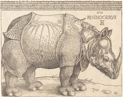 Næsehornet, 1515. af Albrecht Dürer