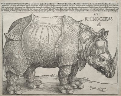 Næsehornet, 1515. af Albrecht Dürer