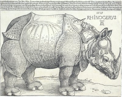Næsehornet, 1515., 1515. af Albrecht Dürer