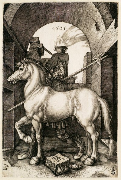  af Albrecht Dürer