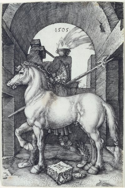 Den lille hest, 1505 af Albrecht Dürer