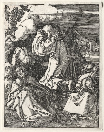  af Albrecht Dürer
