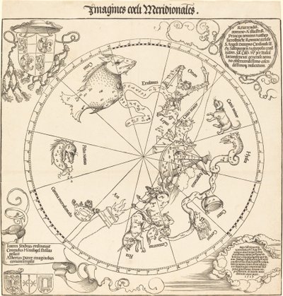Den sydlige himmelhalvkugle af Albrecht Dürer