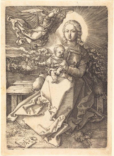  af Albrecht Dürer
