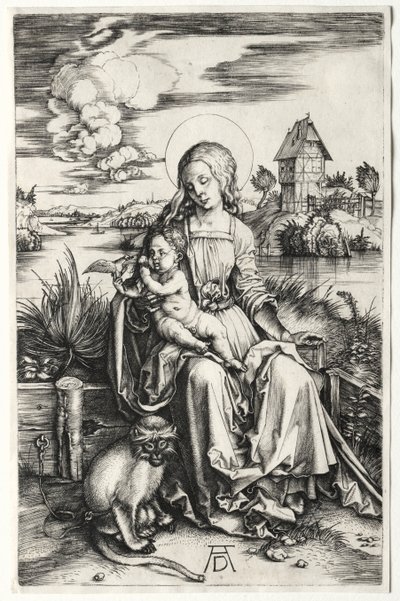 Jomfruen og barnet med en abe, ca. 1498. af Albrecht Dürer