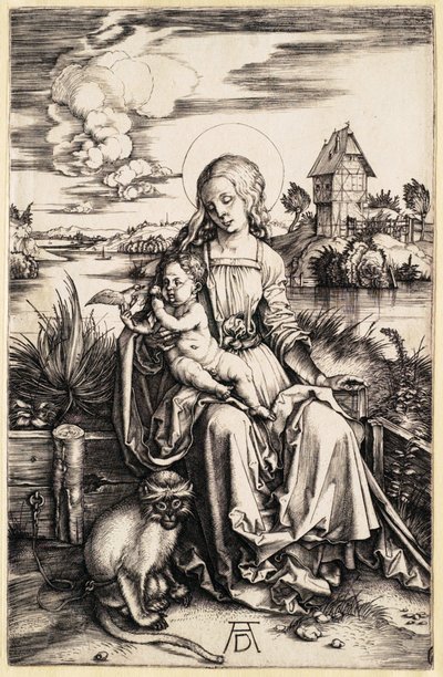  af Albrecht Dürer