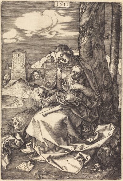  af Albrecht Dürer