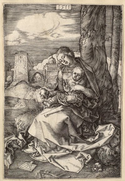  af Albrecht Dürer