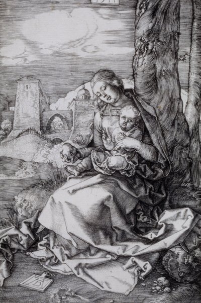  af Albrecht Dürer