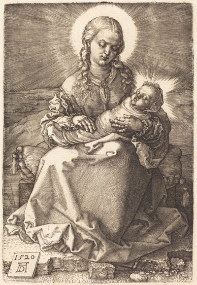  af Albrecht Dürer