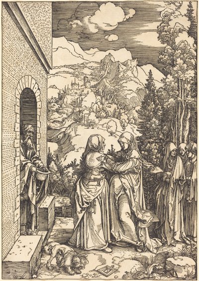  af Albrecht Dürer