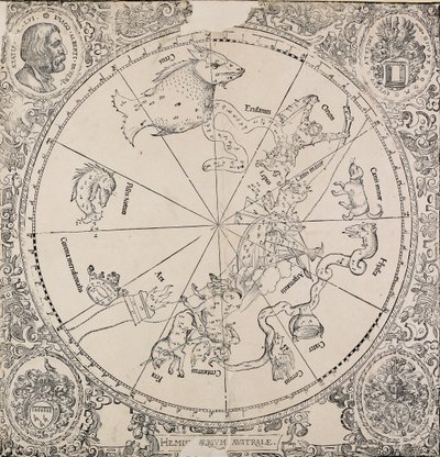Det chelestiale diagram af den sydlige halvkugle, begyndelsen af det 16. århundrede af Albrecht Dürer