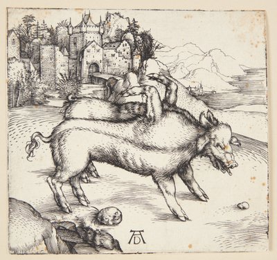 Landsers monstrøse so af Albrecht Dürer