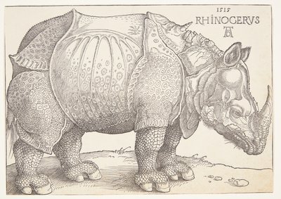 Næsehornet af Albrecht Dürer