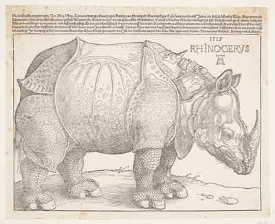 Næsehornet af Albrecht Dürer