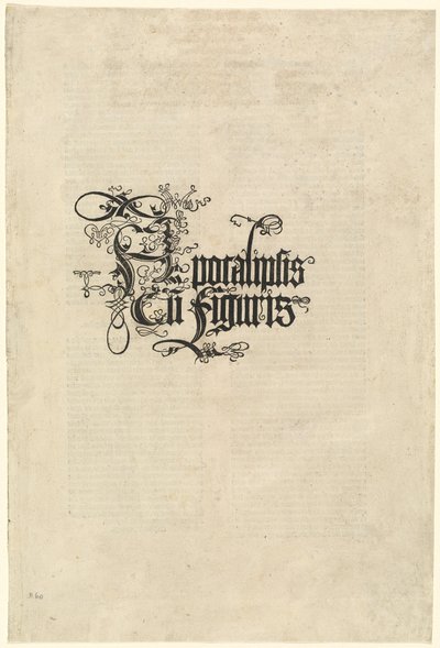 Titelblad, 1498. af Albrecht Dürer