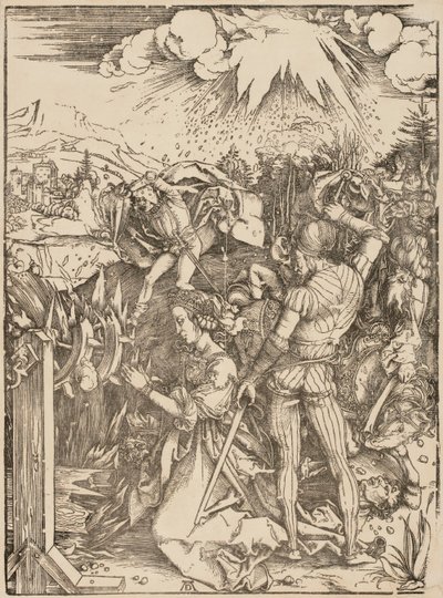  af Albrecht Dürer