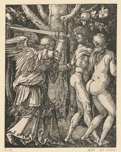 af Albrecht Dürer
