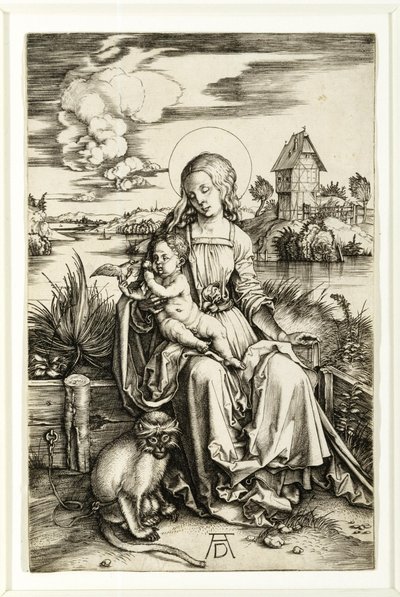 Jomfru og barn med aben af Albrecht Dürer
