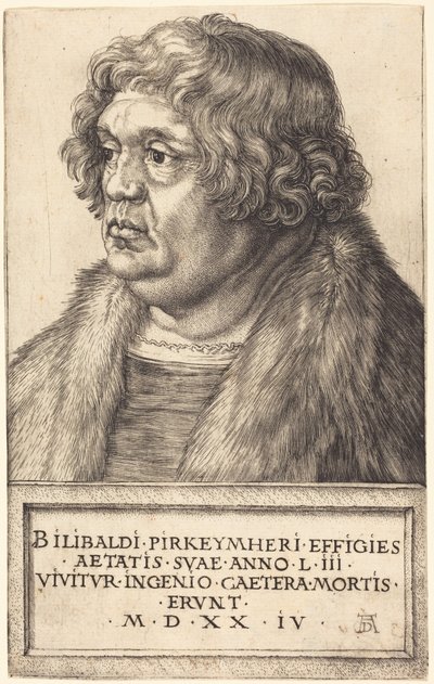  af Albrecht Dürer