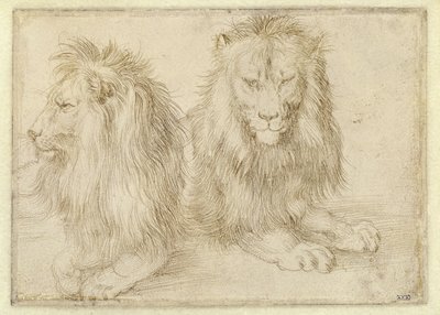 af Albrecht Dürer