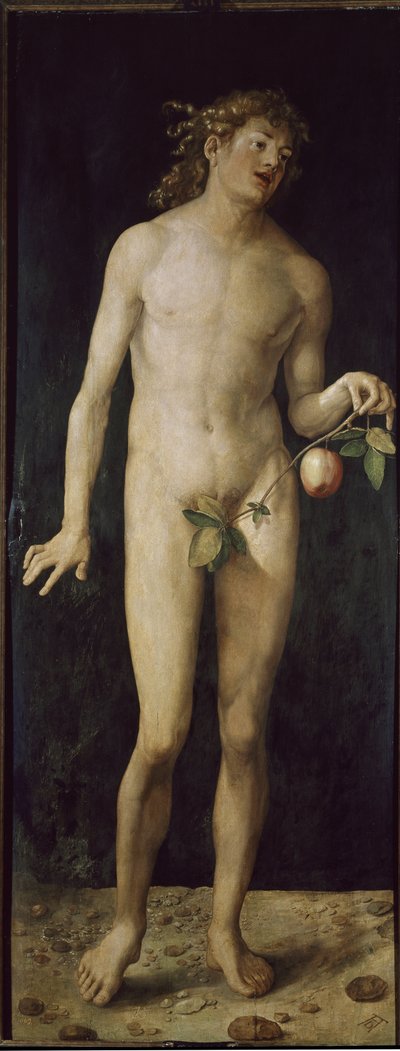 Adam (olie på træ af Albrecht Dürer